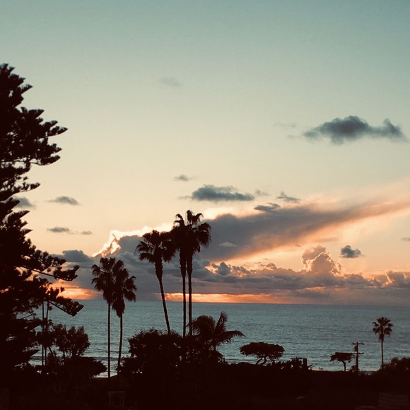 Meet your Posher, Tanya - Picture 1 of 1